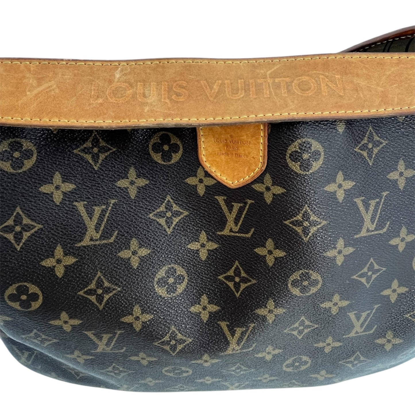 Louis Vuitton Monogram Delightful PM