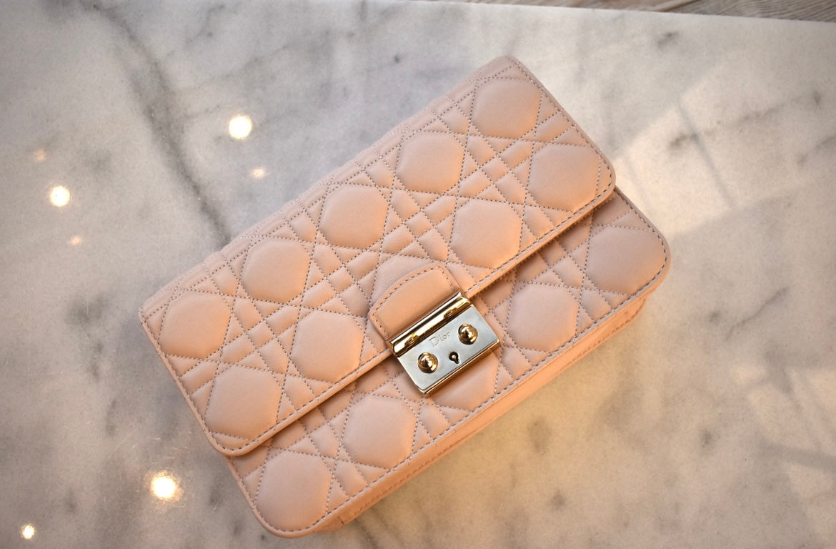 Dior on sale promenade clutch